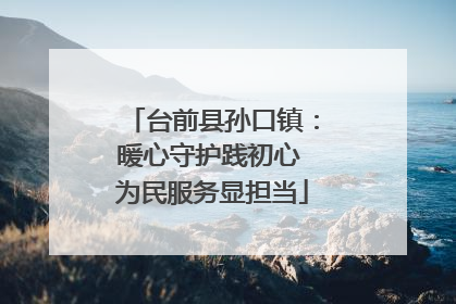 台前县孙口镇：暖心守护践初心 为民服务显担当